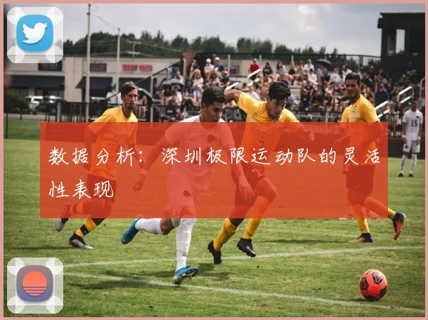 数据分析：深圳极限运动队的灵活性表现