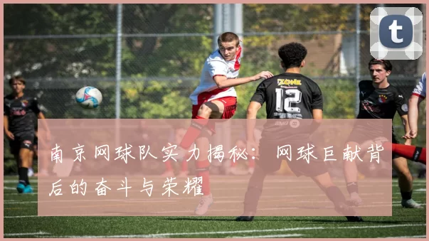 南京网球队实力揭秘：网球巨献背后的奋斗与荣耀