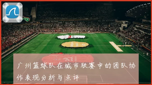 广州篮球队在城市联赛中的团队协作表现分析与点评